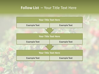 Slope Strathcona Woods PowerPoint Template