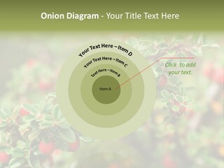 Slope Strathcona Woods PowerPoint Template