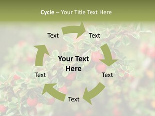 Slope Strathcona Woods PowerPoint Template