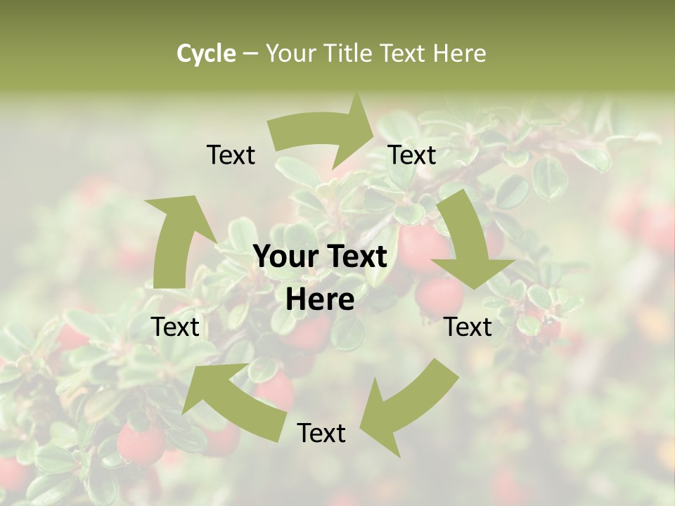 Slope Strathcona Woods PowerPoint Template