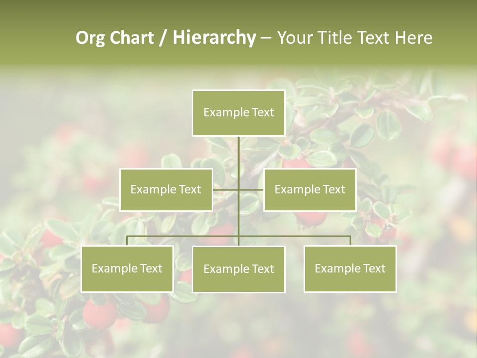 Slope Strathcona Woods PowerPoint Template