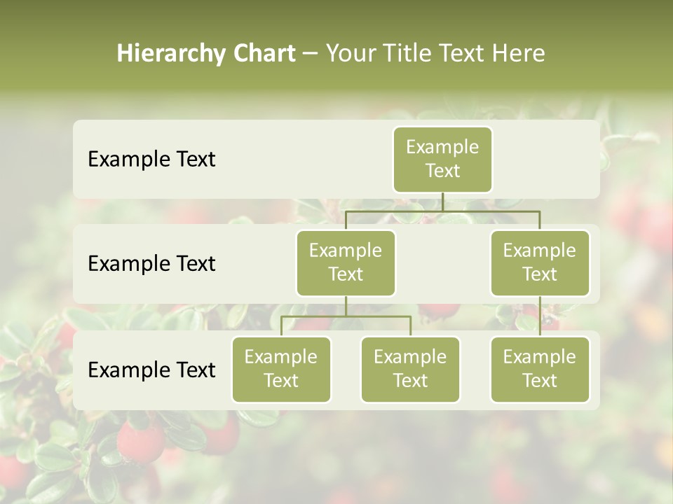 Slope Strathcona Woods PowerPoint Template