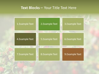 Slope Strathcona Woods PowerPoint Template