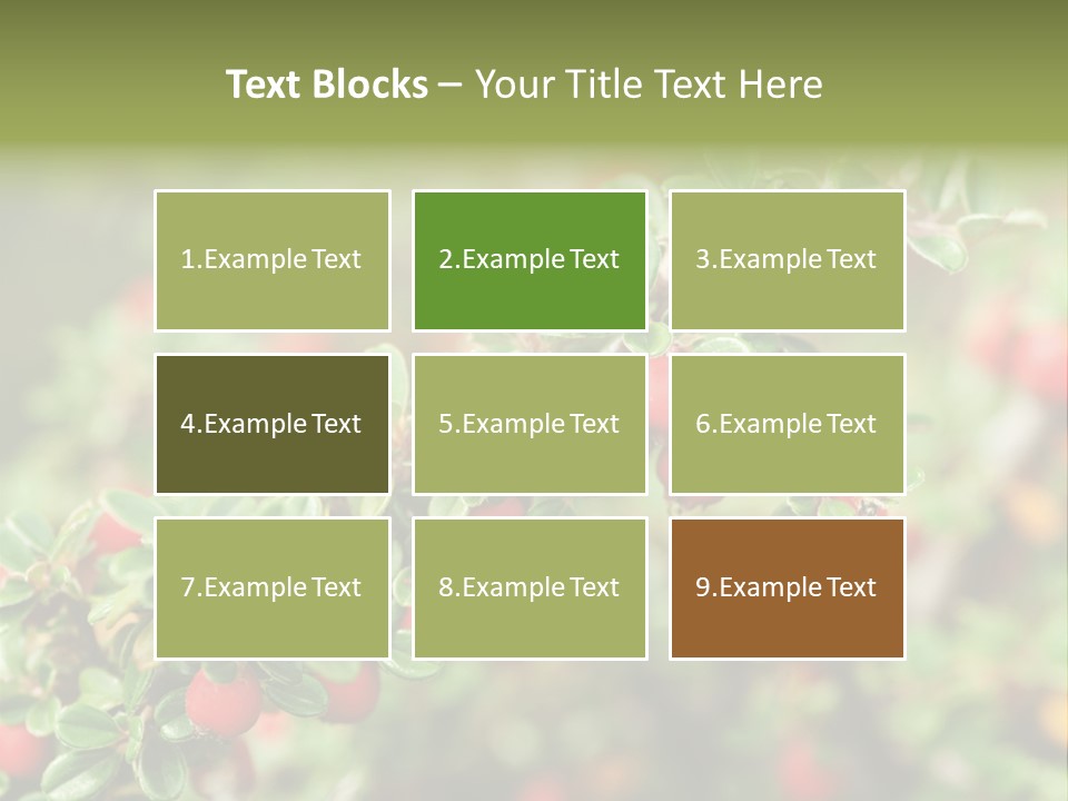 Slope Strathcona Woods PowerPoint Template