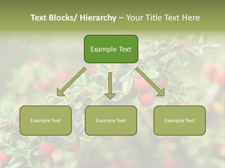 Slope Strathcona Woods PowerPoint Template