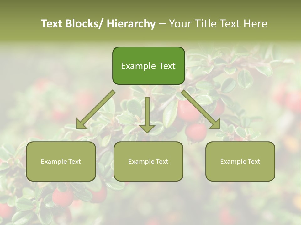 Slope Strathcona Woods PowerPoint Template