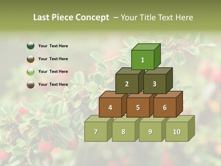 Slope Strathcona Woods PowerPoint Template