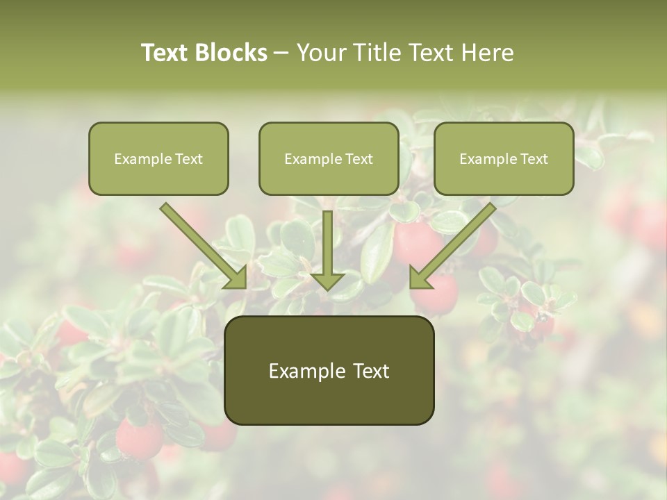 Slope Strathcona Woods PowerPoint Template