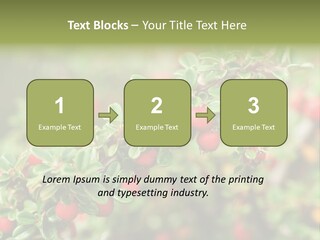 Slope Strathcona Woods PowerPoint Template