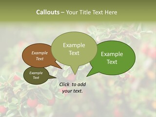 Slope Strathcona Woods PowerPoint Template