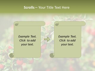 Slope Strathcona Woods PowerPoint Template