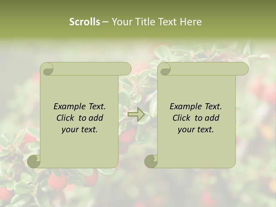 Slope Strathcona Woods PowerPoint Template