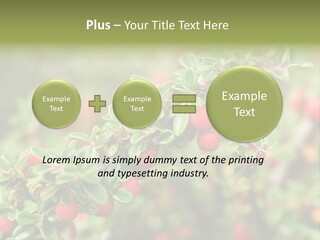 Slope Strathcona Woods PowerPoint Template