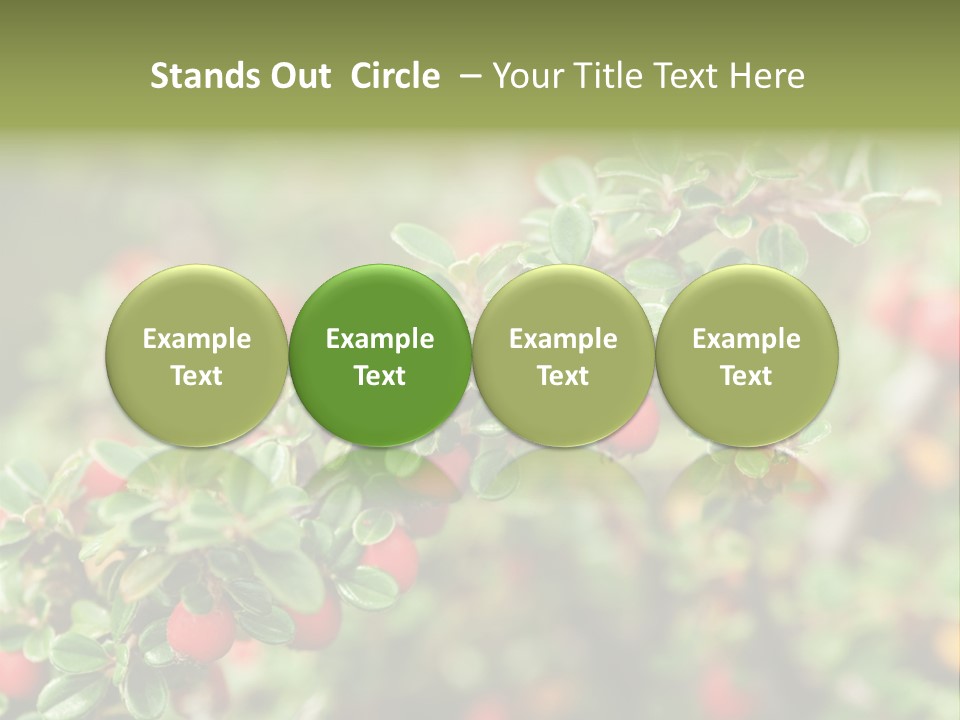 Slope Strathcona Woods PowerPoint Template