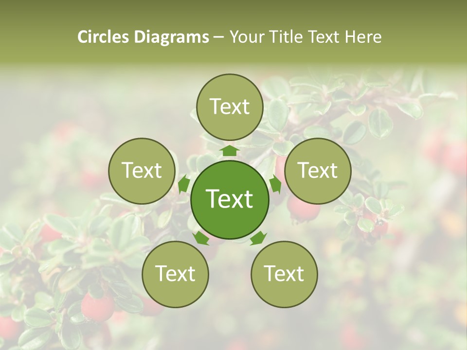Slope Strathcona Woods PowerPoint Template