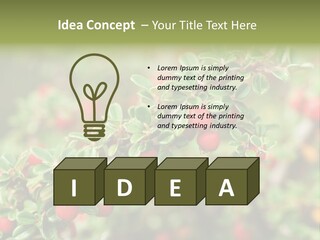 Slope Strathcona Woods PowerPoint Template