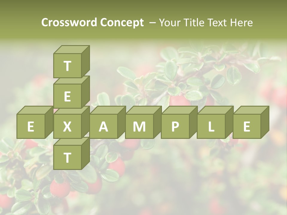 Slope Strathcona Woods PowerPoint Template