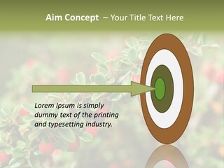 Slope Strathcona Woods PowerPoint Template