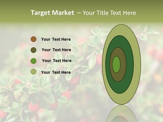 Slope Strathcona Woods PowerPoint Template