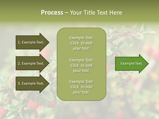 Slope Strathcona Woods PowerPoint Template