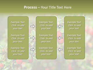 Slope Strathcona Woods PowerPoint Template