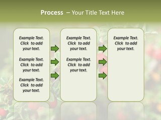 Slope Strathcona Woods PowerPoint Template