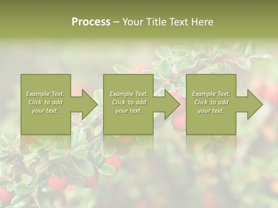 Slope Strathcona Woods PowerPoint Template