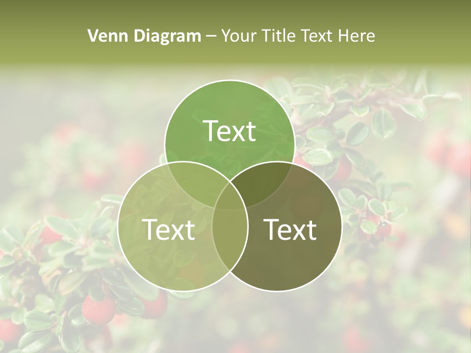 Slope Strathcona Woods PowerPoint Template