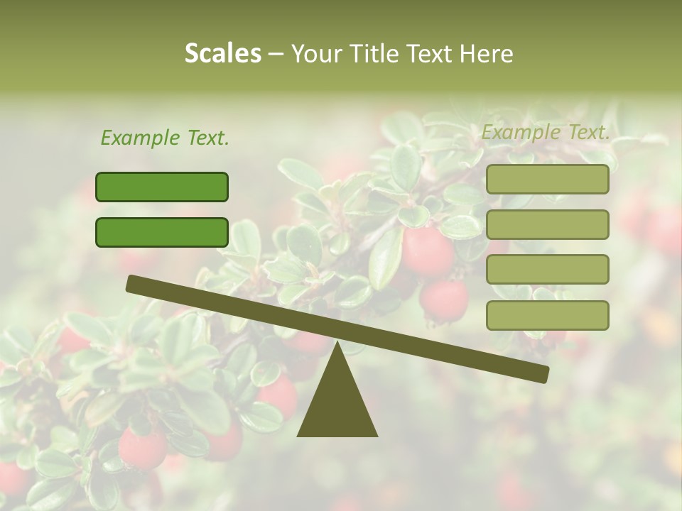 Slope Strathcona Woods PowerPoint Template