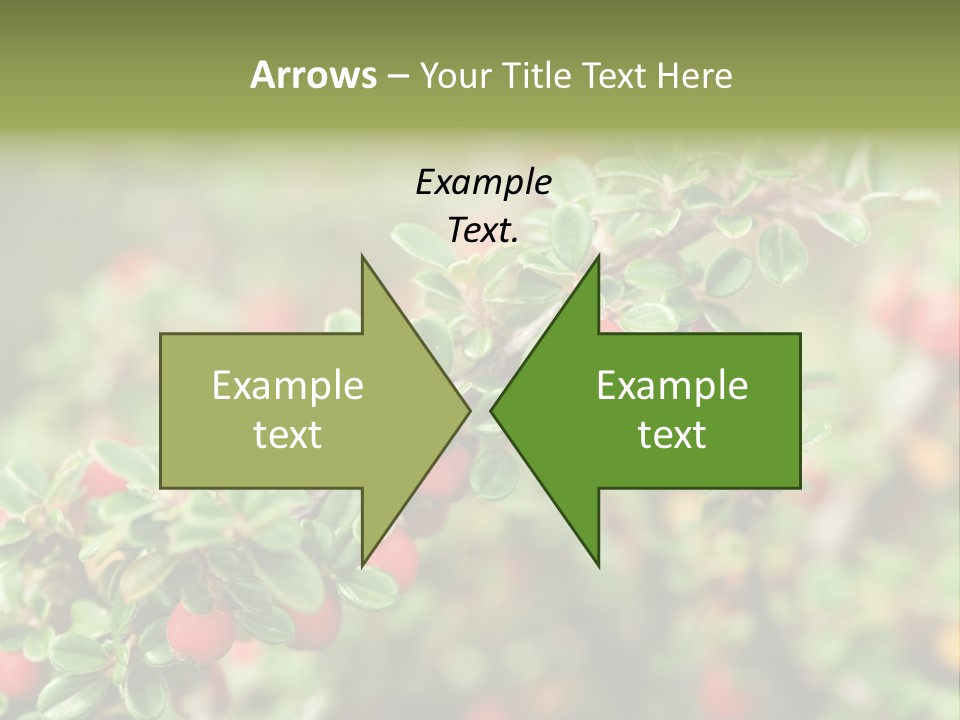 Slope Strathcona Woods PowerPoint Template