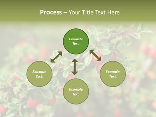 Slope Strathcona Woods PowerPoint Template