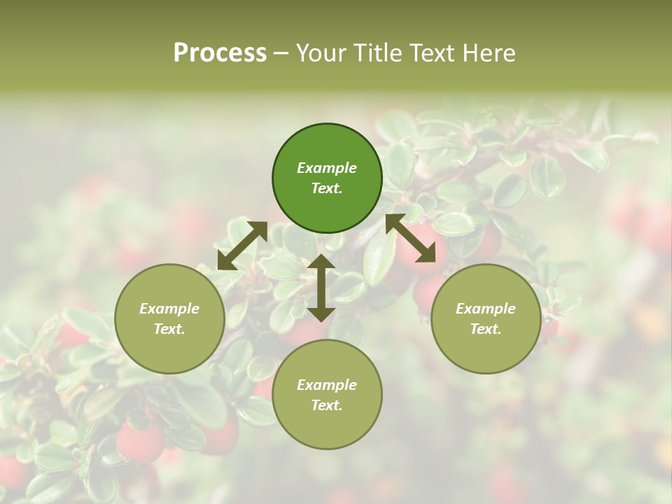 Slope Strathcona Woods PowerPoint Template