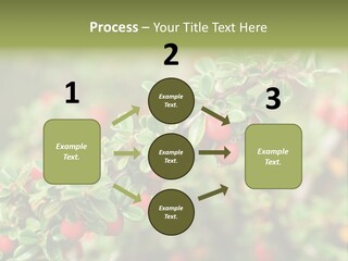 Slope Strathcona Woods PowerPoint Template