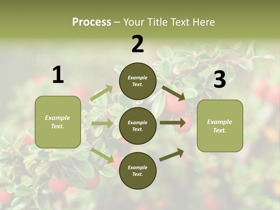 Slope Strathcona Woods PowerPoint Template