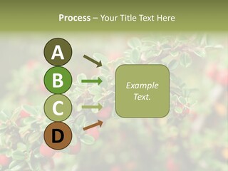 Slope Strathcona Woods PowerPoint Template