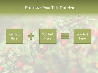 Slope Strathcona Woods PowerPoint Template