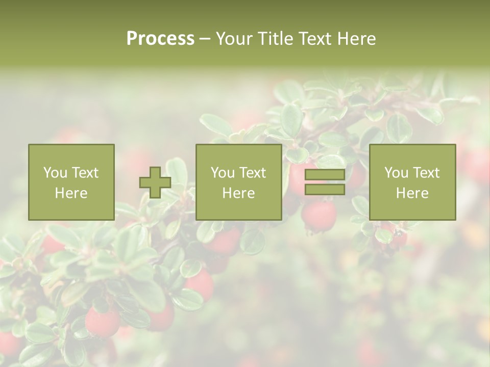 Slope Strathcona Woods PowerPoint Template
