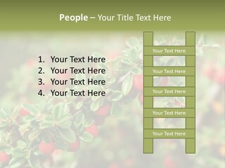 Slope Strathcona Woods PowerPoint Template