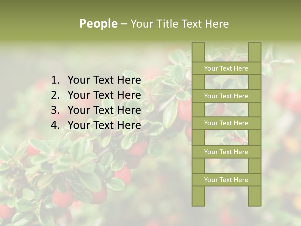Slope Strathcona Woods PowerPoint Template