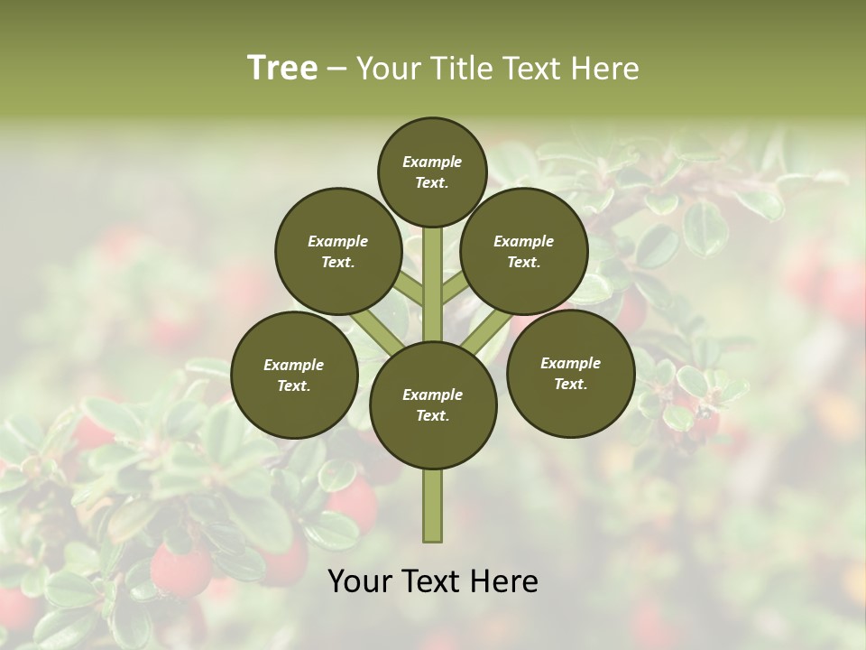 Slope Strathcona Woods PowerPoint Template