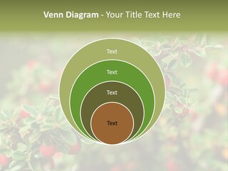 Slope Strathcona Woods PowerPoint Template