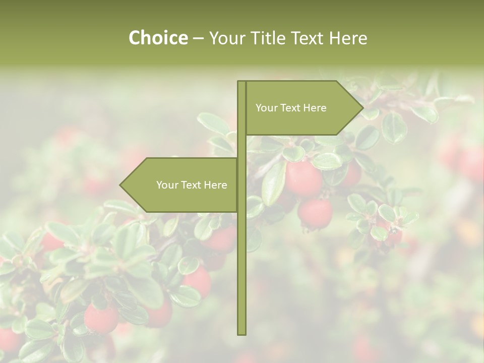 Slope Strathcona Woods PowerPoint Template