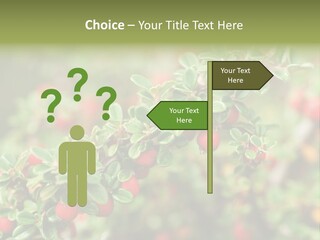 Slope Strathcona Woods PowerPoint Template