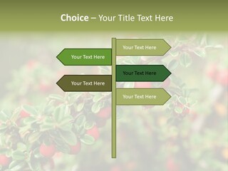 Slope Strathcona Woods PowerPoint Template