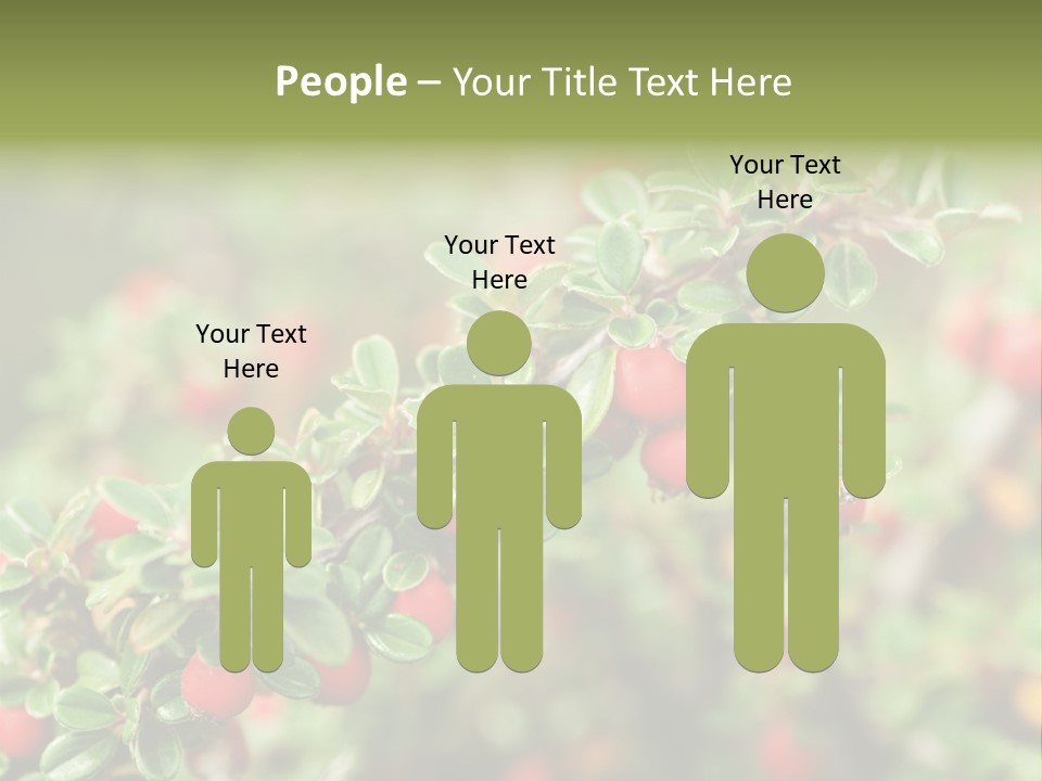 Slope Strathcona Woods PowerPoint Template