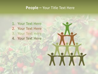 Slope Strathcona Woods PowerPoint Template