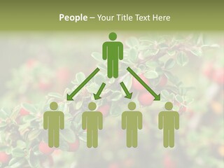 Slope Strathcona Woods PowerPoint Template