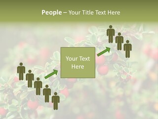 Slope Strathcona Woods PowerPoint Template