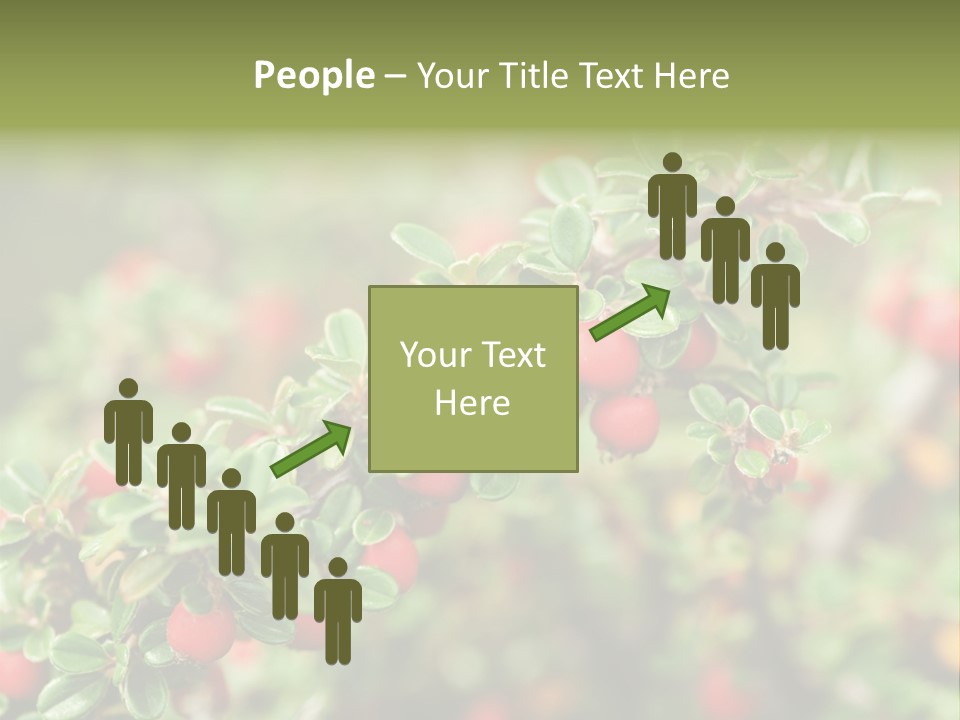 Slope Strathcona Woods PowerPoint Template