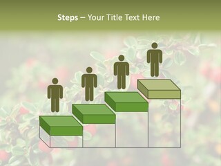 Slope Strathcona Woods PowerPoint Template